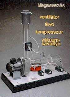 g�zsz�ll�t�k_csop